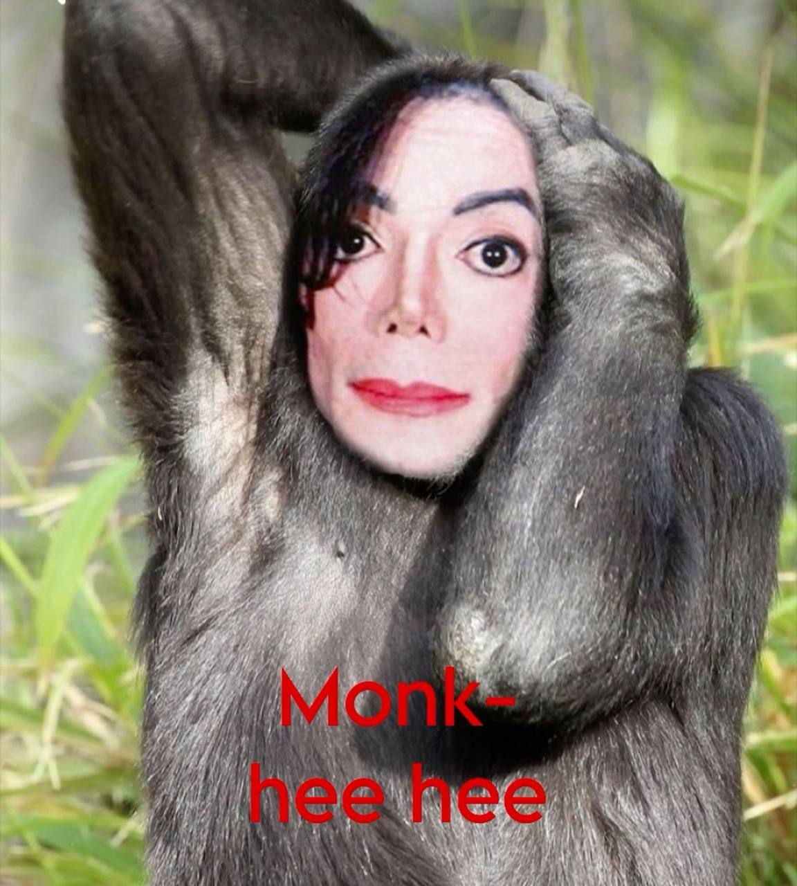 Meme